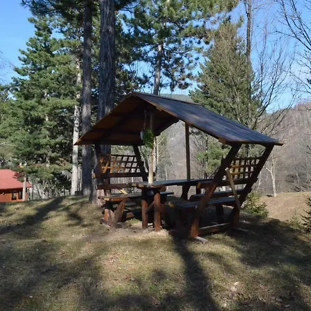 Cabana Dintre Pini *