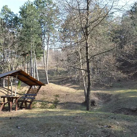Case de vacanță Cabana Dintre Pini *
